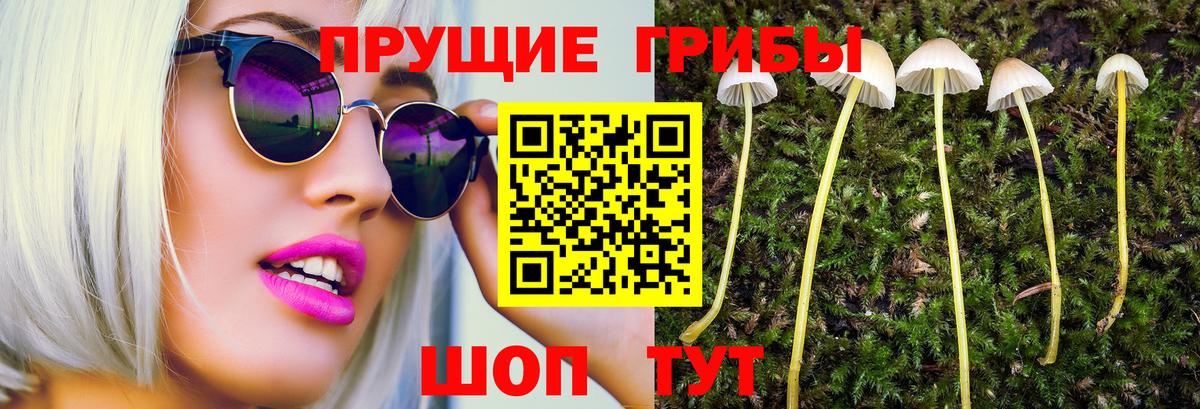 Галлюциногенные грибы Psilocybe  Псилоцибиновые грибы прущие грибы  Вход с VPN  Десногорск 